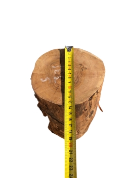 Schönes massives Olivenholz Stammstück 331