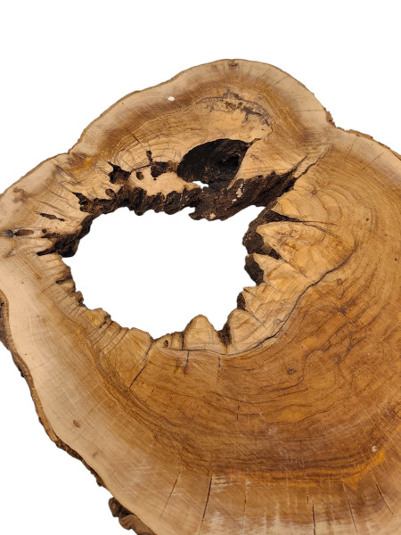 TROCKENE Olivenholz Baumscheibe mit großem Loch für Epoxidharz Q1070