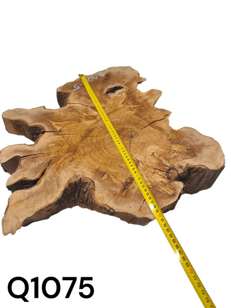 TROCKENE Olivenholz Baumscheibe URIG RUSTIKAL & voll massiv Q1075