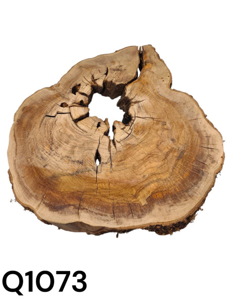 TROCKENE Olivenholz Baumscheibe mit Loch & Rissen für Epoxidharz Q1073