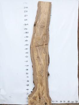 Große Olivenholz Bohle – ideal für den Bau von Theken, Esstischen oder Arbeitsplatten.