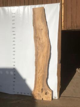 Große Olivenholz Bohle – ideal für den Bau von Esstischen, Theken oder Arbeitsplatten.