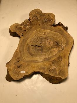 Interessant geformter Olivenbaum Querschnitt, perfekt für kreative Anwendungen und die Verarbeitung mit Epoxidharz.