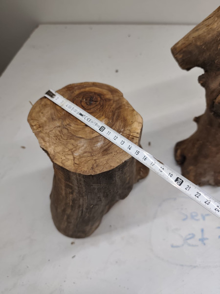 kleine trockene Olivenholz Stammastücke knorrig und gegabelt ohne Rinde 3er Set 74