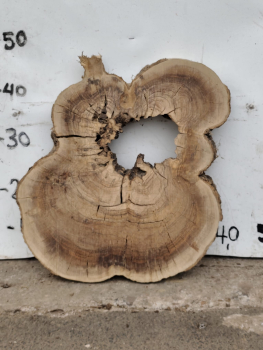Olivenholz Baumscheibe 40–53 cm – Trockenes Olivenholz mit Loch für Epoxidharz Nr. 2792