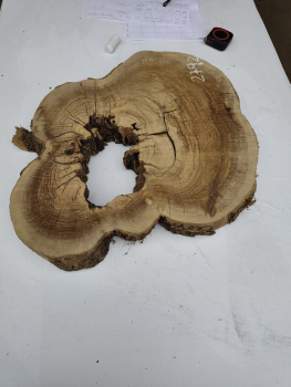 Olivenholz Baumscheibe 40–53 cm – Trockenes Olivenholz mit Loch für Epoxidharz Nr. 2792