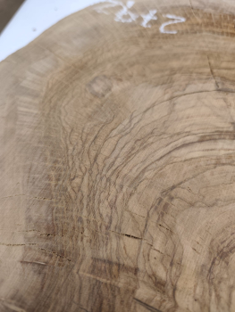 Olivenholz Baumscheibe 40–53 cm – Trockenes Olivenholz mit Loch für Epoxidharz Nr. 2792