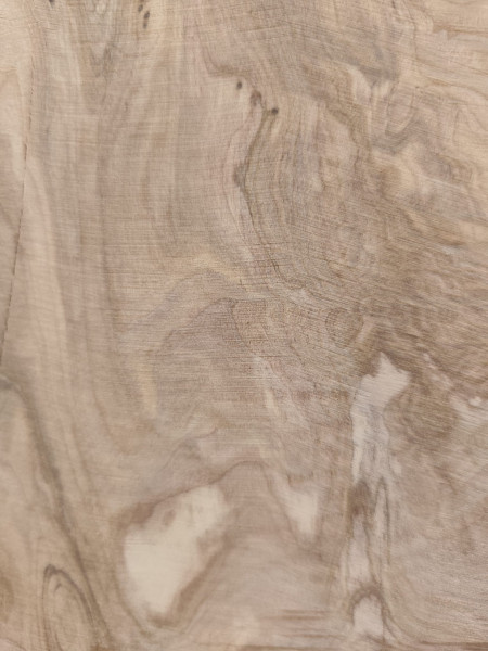 Olivenholzbohle 145 cm – Trockenes Olivenholz für Epoxidharz Tischplatte Unikat