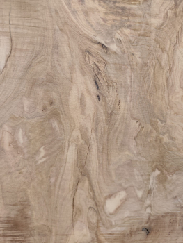 Olivenholzbohle 145 cm – Trockenes Olivenholz für Epoxidharz Tischplatte Unikat