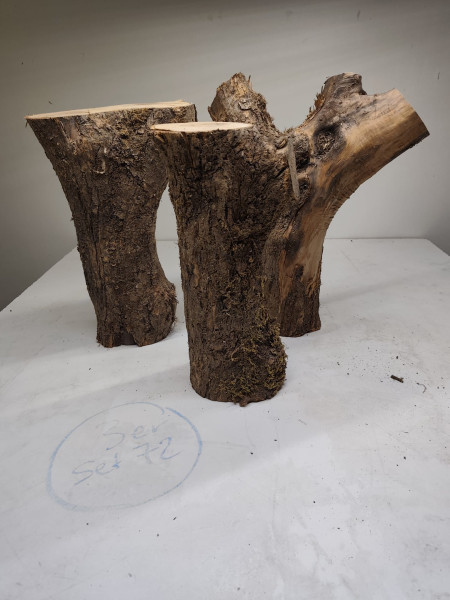 trockene Olivenholz Stammstücke mit Gabelung 3er Set 72