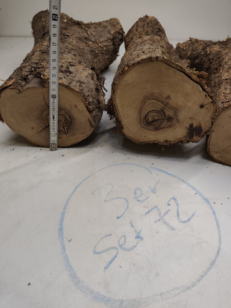 trockene Olivenholz Stammstücke mit Gabelung 3er Set 72