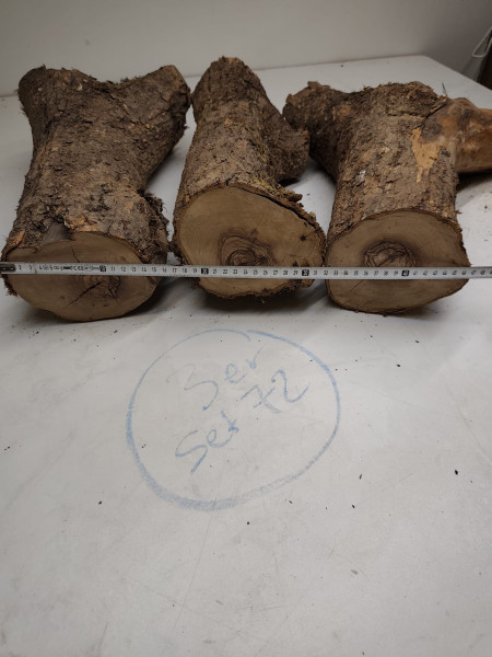trockene Olivenholz Stammstücke mit Gabelung 3er Set 72