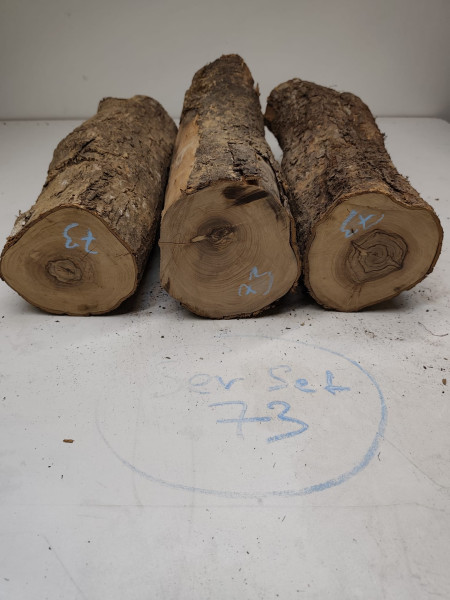 trockene Olivenholz Stammstücke zum drechseln 3er Set 73