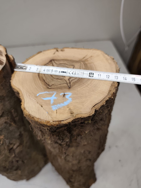 trockene Olivenholz Stammstücke zum drechseln 3er Set 73