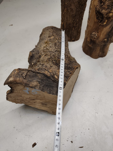 trockene und knorrig gewachsene Olivenholz Stammware im 3er Set 75