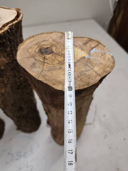 trockene und knorrig gewachsene Olivenholz Stammware im 3er Set 75