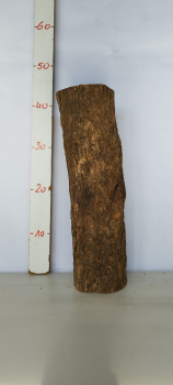 trockenes-Olivenbaum-Stammstück-501