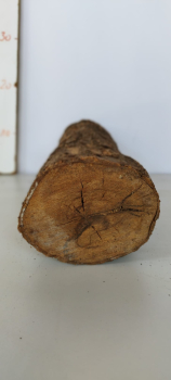 trockenes-Olivenbaum-Stammstück-501