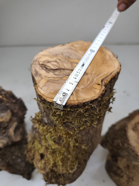 trockenes Olivenbaum Stammstücke 3er Set 71