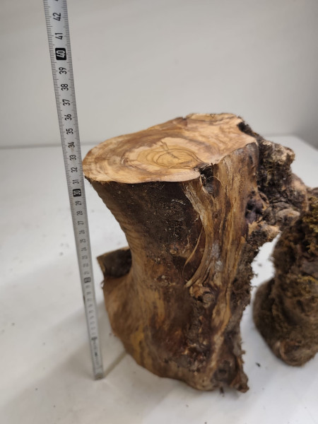 trockenes Olivenbaum Stammstücke 3er Set 71