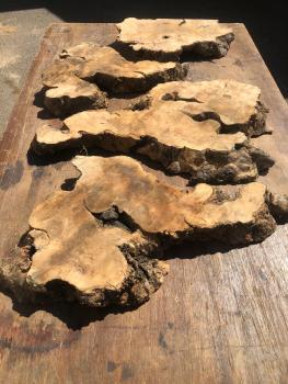 Überraschungskiste de Luxe  Olivenholz Wurzelscheiben Art.Nr. Ü03
