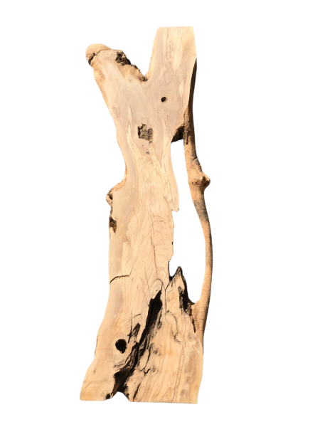 175 cm Olivenholz-Platte mit Baumgabelung – Ideal für Lowboard oder Theke mit Epoxidharz 1216