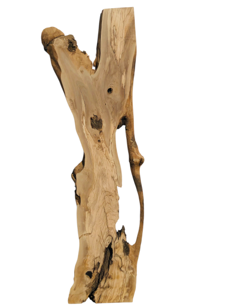 175 cm Olivenholz-Platte mit Baumgabelung – Ideal für Lowboard oder Theke mit Epoxidharz 1216