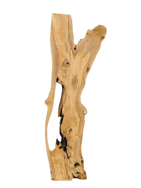 175 cm Olivenholz-Platte mit Baumgabelung – Ideal für Lowboard oder Theke mit Epoxidharz 1216