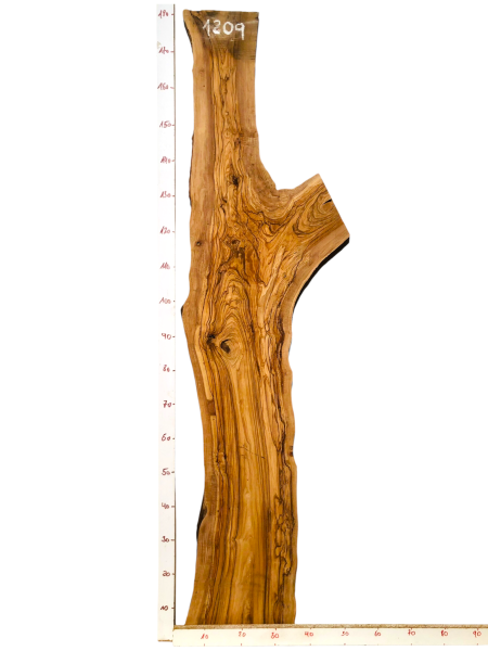 180 cm Olivenholz Brett mit Gabelung und TOP Maserung 1209