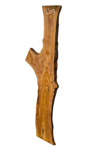 180 cm Olivenholz Brett mit Gabelung und TOP Maserung 1209