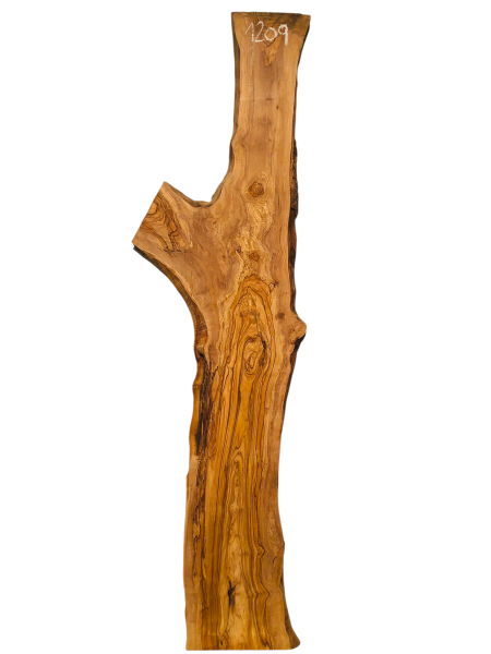 180 cm Olivenholz Brett mit Gabelung und TOP Maserung 1209