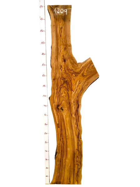 180 cm Olivenholz Brett mit Gabelung und TOP Maserung 1209