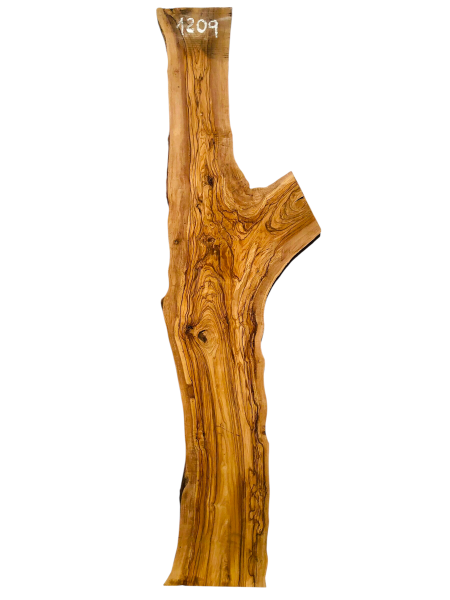 180 cm Olivenholz Brett mit Gabelung und TOP Maserung 1209