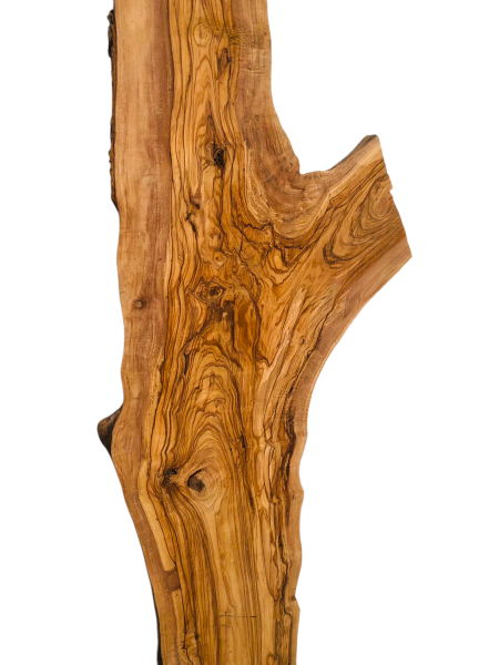 180 cm Olivenholz Brett mit Gabelung und TOP Maserung 1209