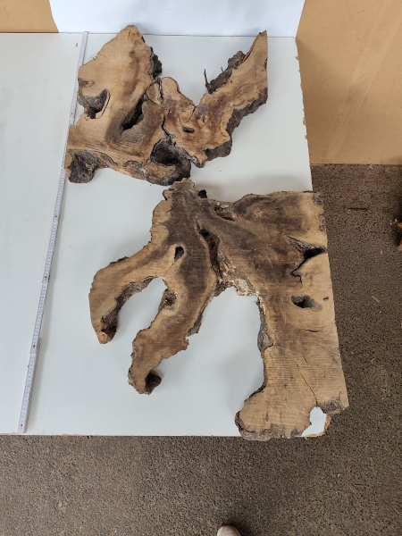 2 große Olivenbaum Wurzeln - Olivenholz für 140x80x5-6-cm Tisch mit Epoxidharz W3