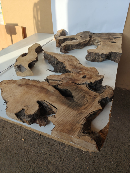 2 große Olivenbaum Wurzeln - Olivenholz für 140x80x5-6-cm Tisch mit Epoxidharz W3