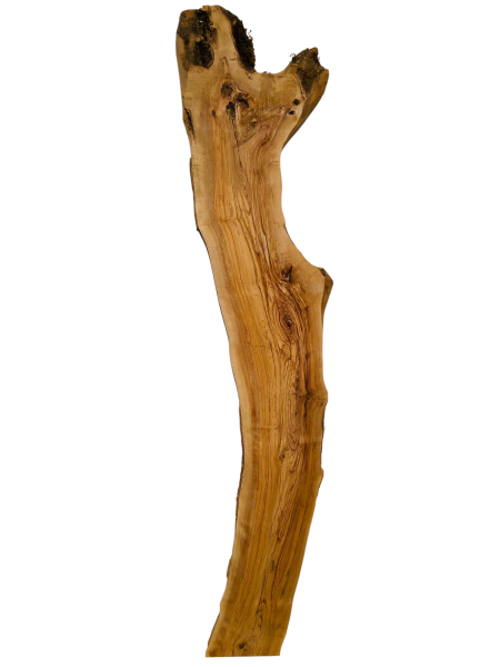 210 cm Olivenholz Bohle Rustikal Urig mit Baumoptik 1211