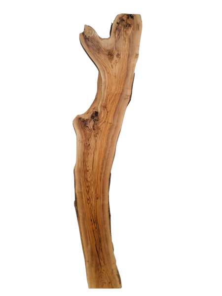 210 cm Olivenholz Bohle Rustikal Urig mit Baumoptik 1211