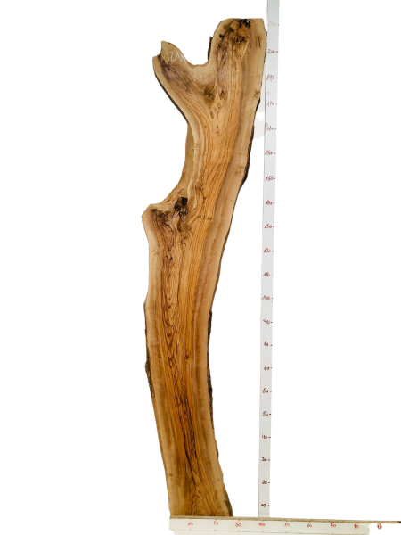 210 cm Olivenholz Bohle Rustikal Urig mit Baumoptik 1211