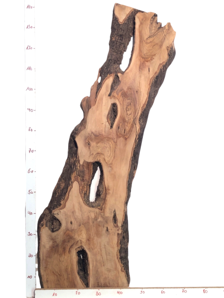 Uriges Olivenholzbrett mit natürlichem Rindenanteil und Löchern, ideal für kreative Epoxidharz-Projekte.