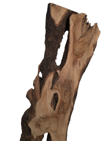 Uriges Olivenholzbrett mit natürlichem Rindenanteil und Löchern, ideal für kreative Epoxidharz-Projekte.