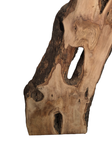 Uriges Olivenholzbrett mit natürlichem Rindenanteil und Löchern, ideal für kreative Epoxidharz-Projekte.