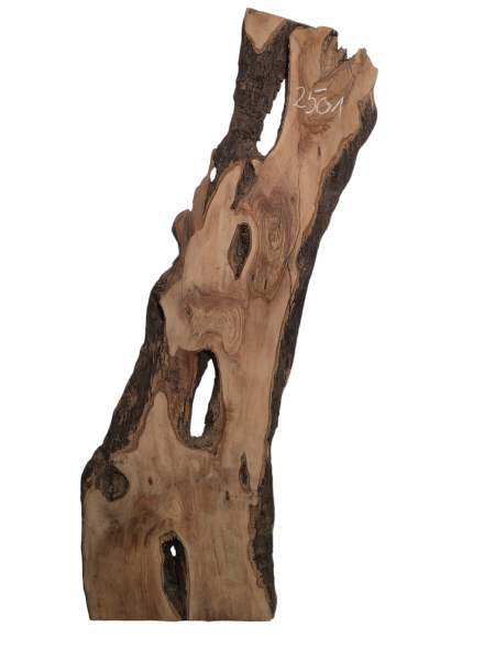 Uriges Olivenholzbrett mit natürlichem Rindenanteil und Löchern, ideal für kreative Epoxidharz-Projekte.