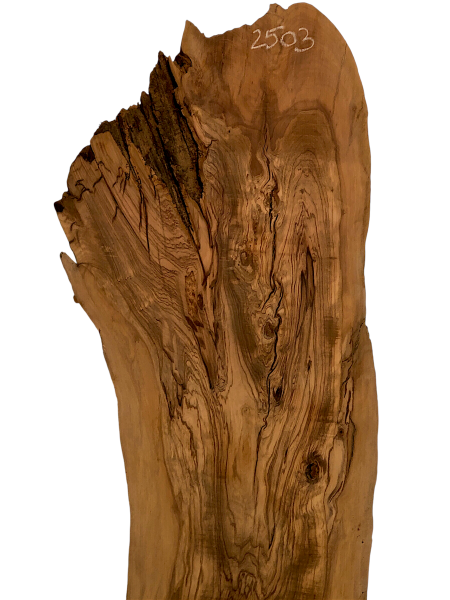 Sehr große Olivenholzbohle – ideal für kreative Projekte und hochwertige Möbelstücke, mit einzigartigem Charakter aus einem 400 Jahre alten Baum.