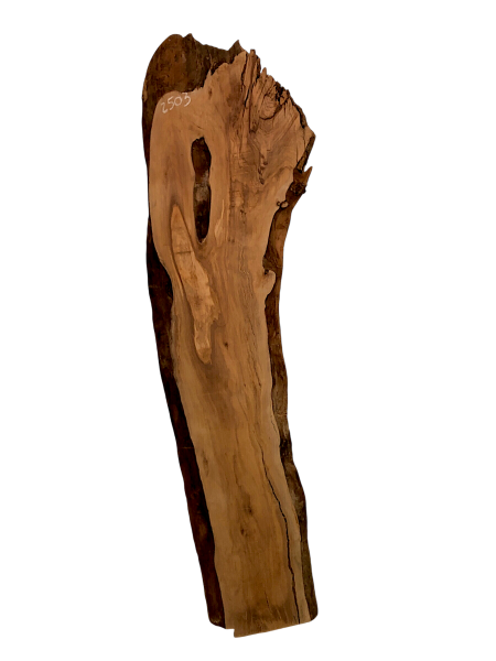 Sehr große Olivenholzbohle – ideal für kreative Projekte und hochwertige Möbelstücke, mit einzigartigem Charakter aus einem 400 Jahre alten Baum.
