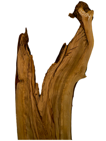 Sehr große Olivenholz Bohle mit fantastischer Maserung – ideal für Möbelstücke und kreative Holzarbeiten, aus einem 400 Jahre alten Baum.