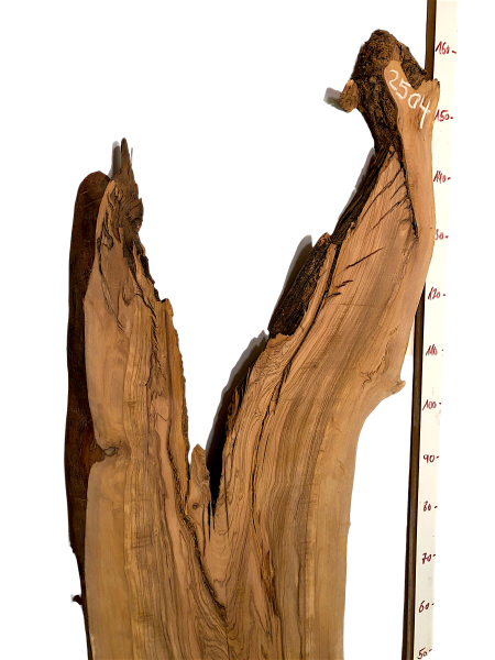 Sehr große Olivenholz Bohle mit fantastischer Maserung – ideal für Möbelstücke und kreative Holzarbeiten, aus einem 400 Jahre alten Baum.
