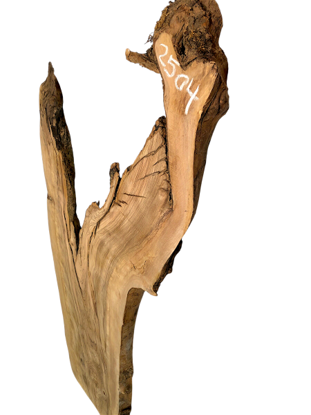 Sehr große Olivenholz Bohle mit fantastischer Maserung – ideal für Möbelstücke und kreative Holzarbeiten, aus einem 400 Jahre alten Baum.
