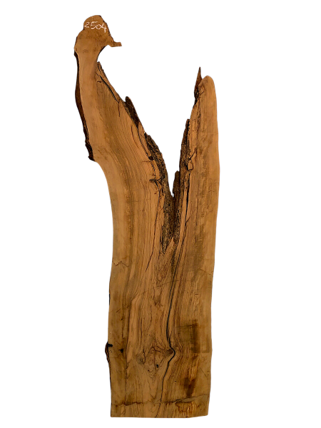 Sehr große Olivenholz Bohle mit fantastischer Maserung – ideal für Möbelstücke und kreative Holzarbeiten, aus einem 400 Jahre alten Baum.