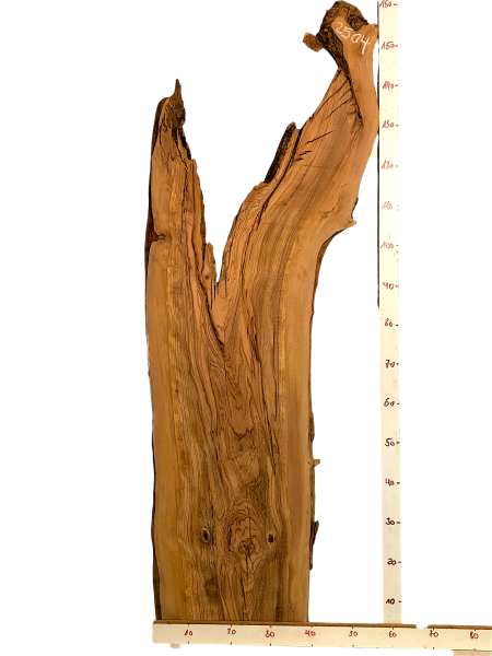 Sehr große Olivenholz Bohle mit fantastischer Maserung – ideal für Möbelstücke und kreative Holzarbeiten, aus einem 400 Jahre alten Baum.